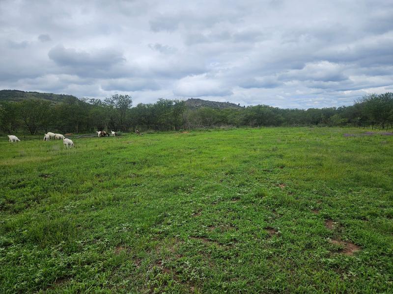 10 Bedroom Property for Sale in Queenstown Rural Eastern Cape